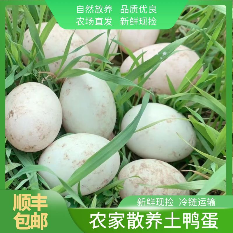 顺丰包邮【农家散养土鸭蛋/30枚新鲜现捡农场直发】