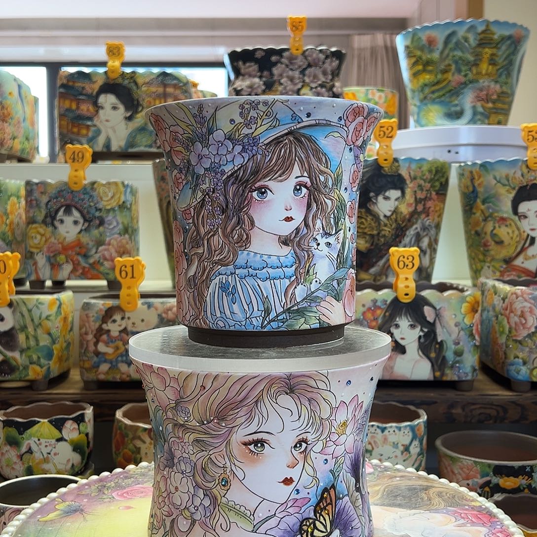 *****薄雾的精工美女盆（短期使用过特价）