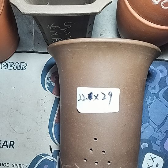 莲花金钟一个花盆