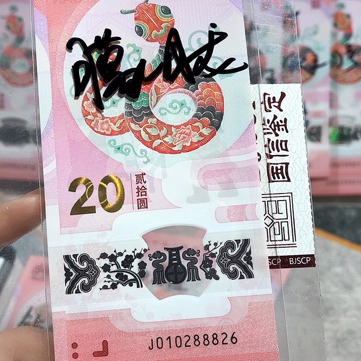 塑料010288826。。。。。。朦胧 豹子身