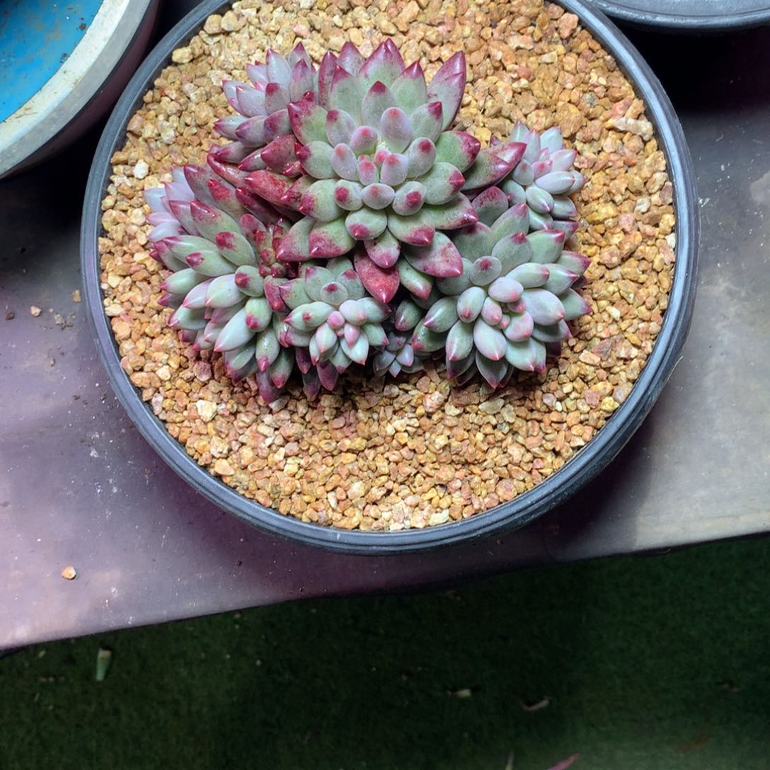 了***李哈哈哈哈哈哈哈哈哈哈哈哈哈哈