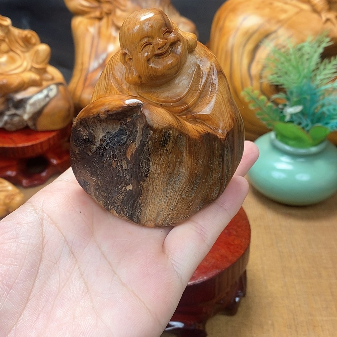 柏木（崖柏）一物一图