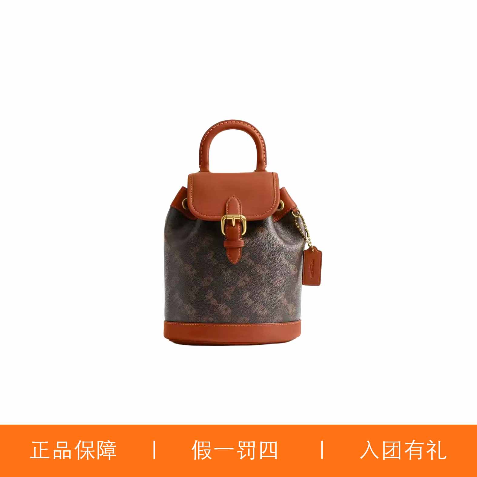 95新 COACH/蔻驰 蔻驰马拉车双肩手提包/Y8483/17X19X10