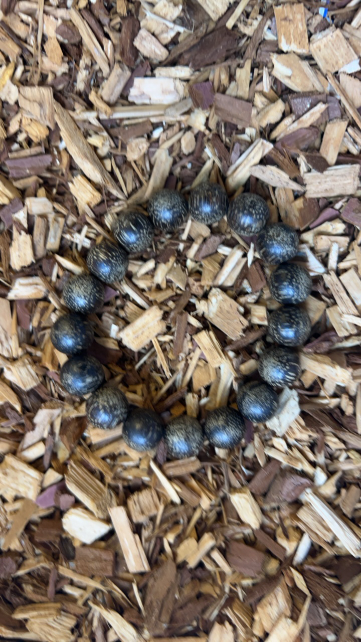 沉香x191 福来精选高端文玩