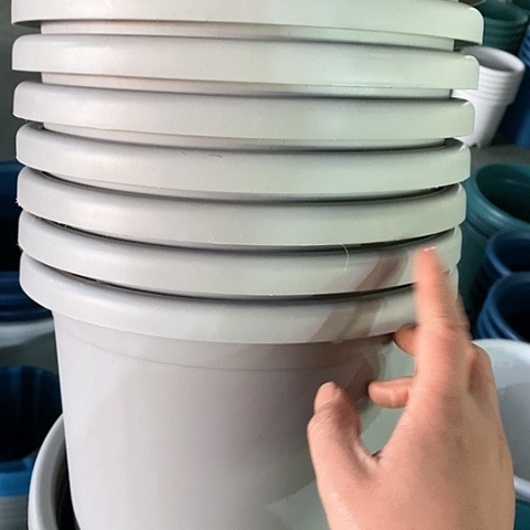 树脂微瑕4号8个无托灰白