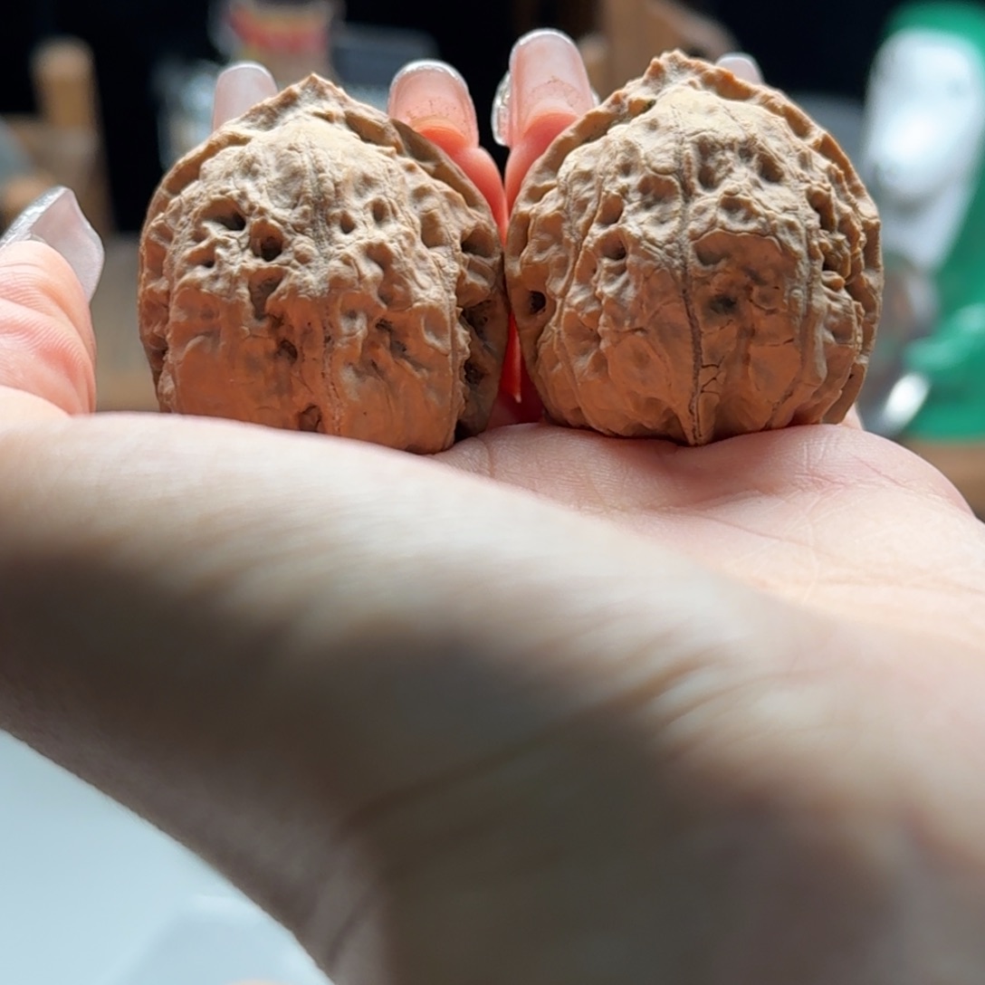 文玩核桃把件关东木子楸百核8