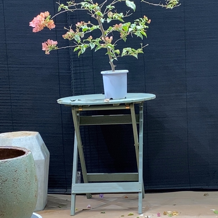 完全开放范*驼马斯