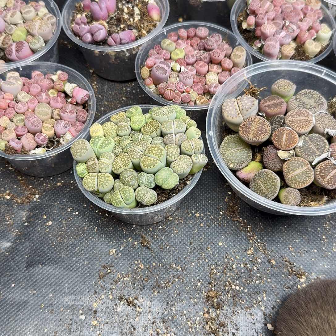 温***衣保温保温箱保温箱保温箱