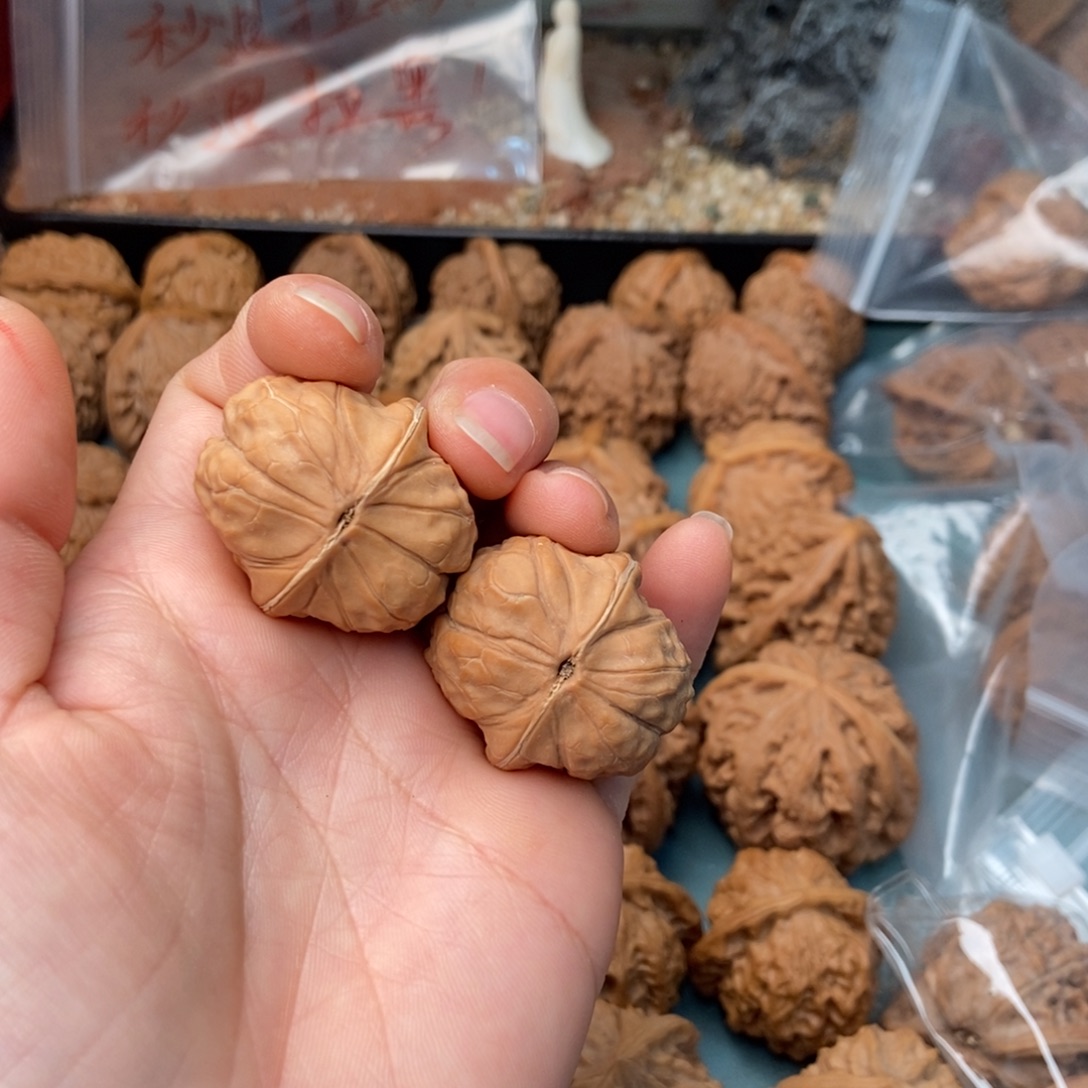 三***森把件文玩核桃龟甲纹34