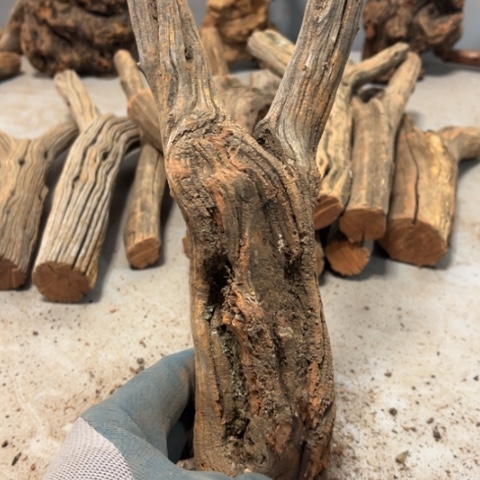 .***贵大果紫檀（缅甸花梨）