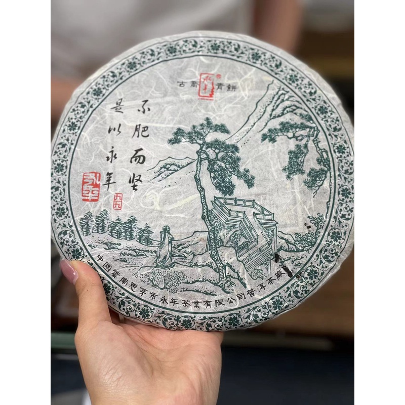 永年绿九九05生普 普洱茶收藏级生茶