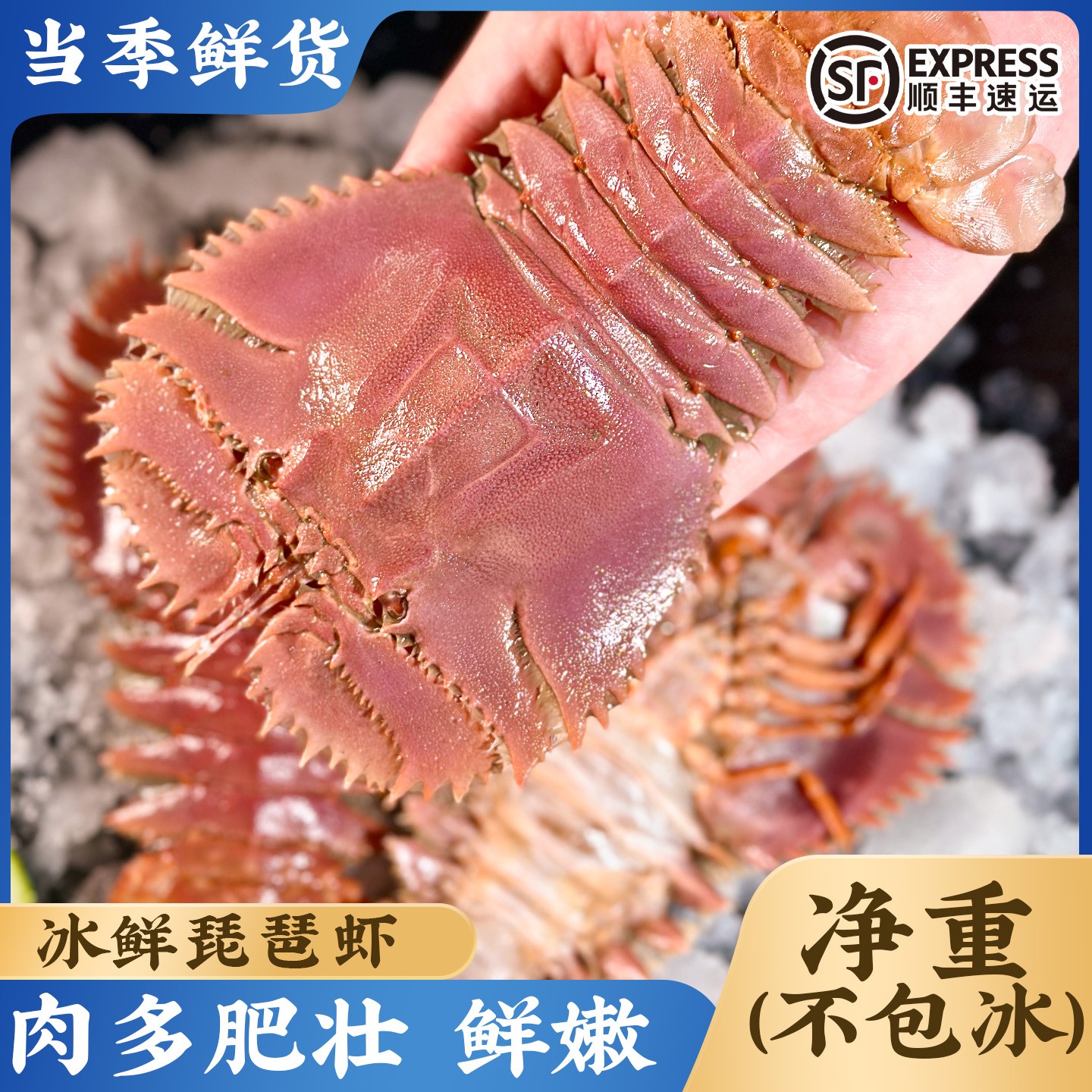 舟山琵琶虾鲜活冷冻九齿扇虾海鲜虾姑特大濑尿虾生鲜深海冷冻爬虾