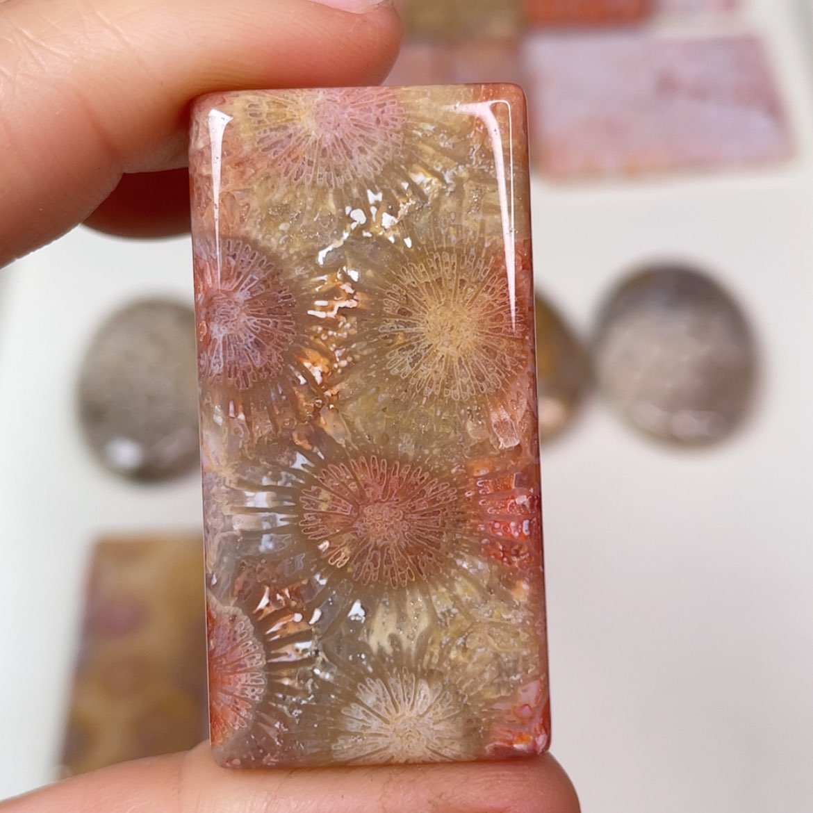 【闪购商品】未镶嵌吊坠(赠链)硅化玉