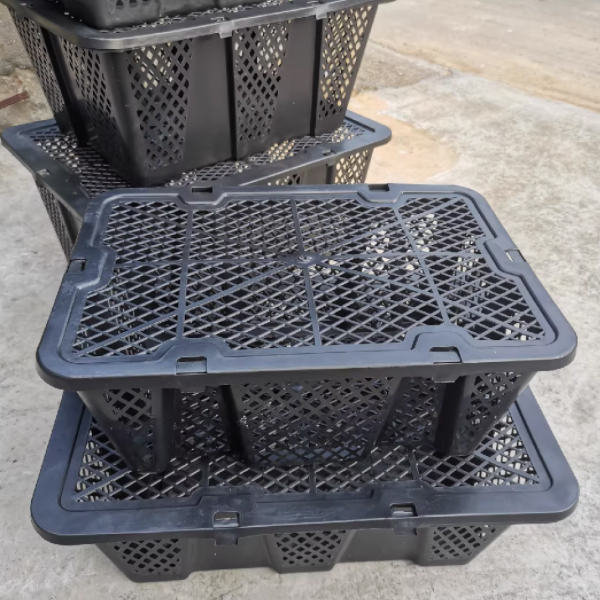 鸡鸭鹅运输中转塑料筐 已打疫苗马岗鹅出壳苗灰鹅苗草鹅杂交鹅苗