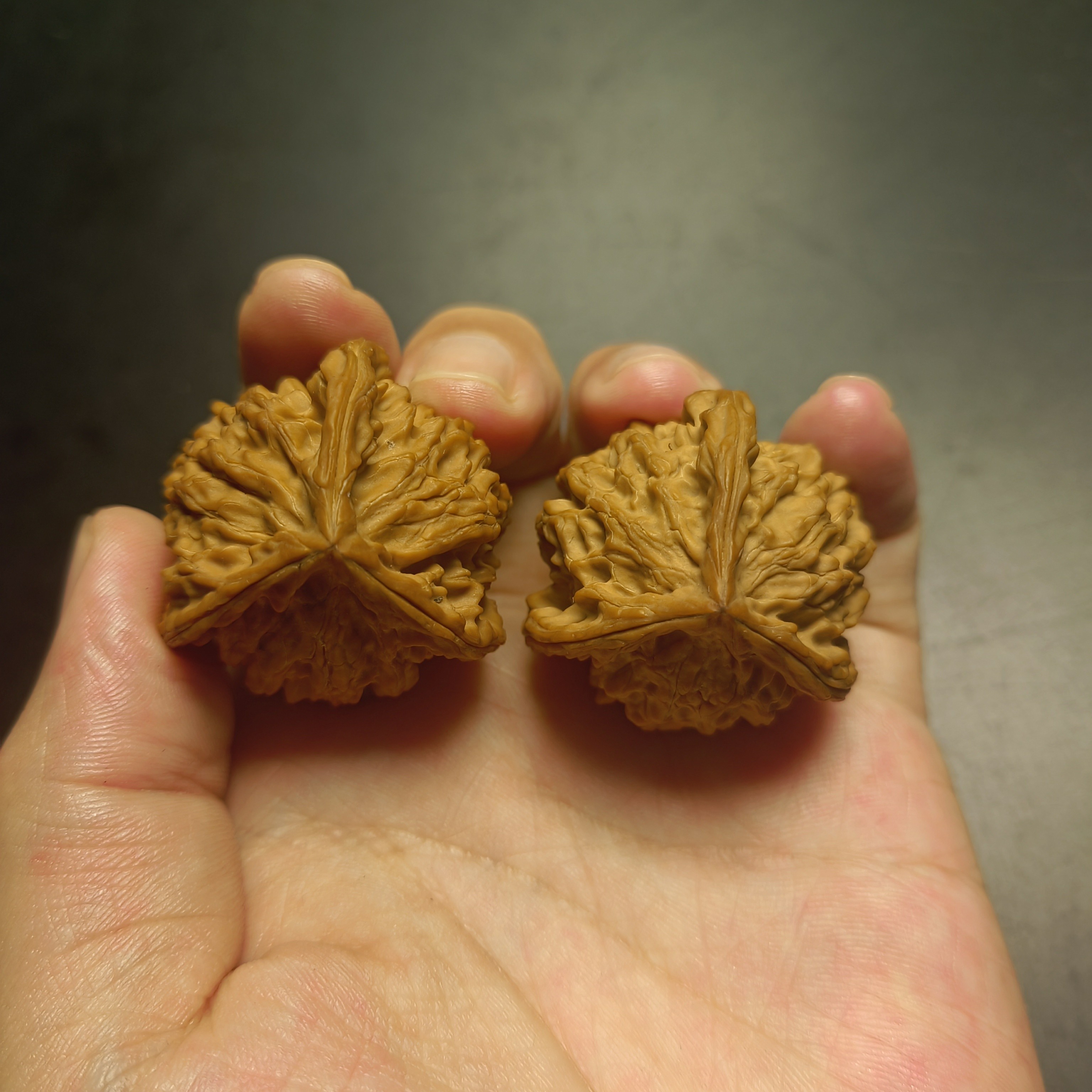 36尺三棱正奔文玩核桃