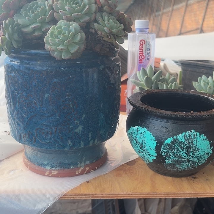 花盆花盆花盆花盆