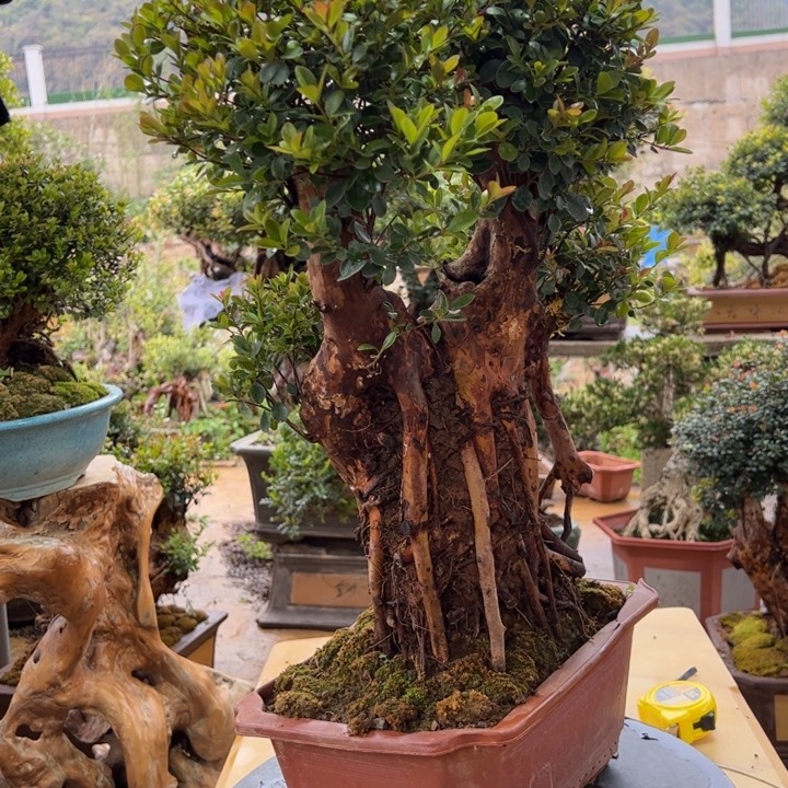 电*好不知道怎么看才