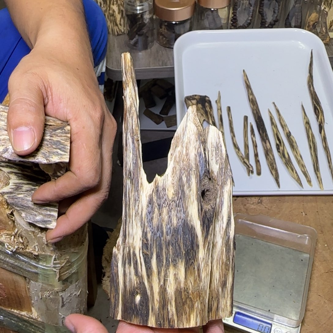 线香虫漏摆件发一份