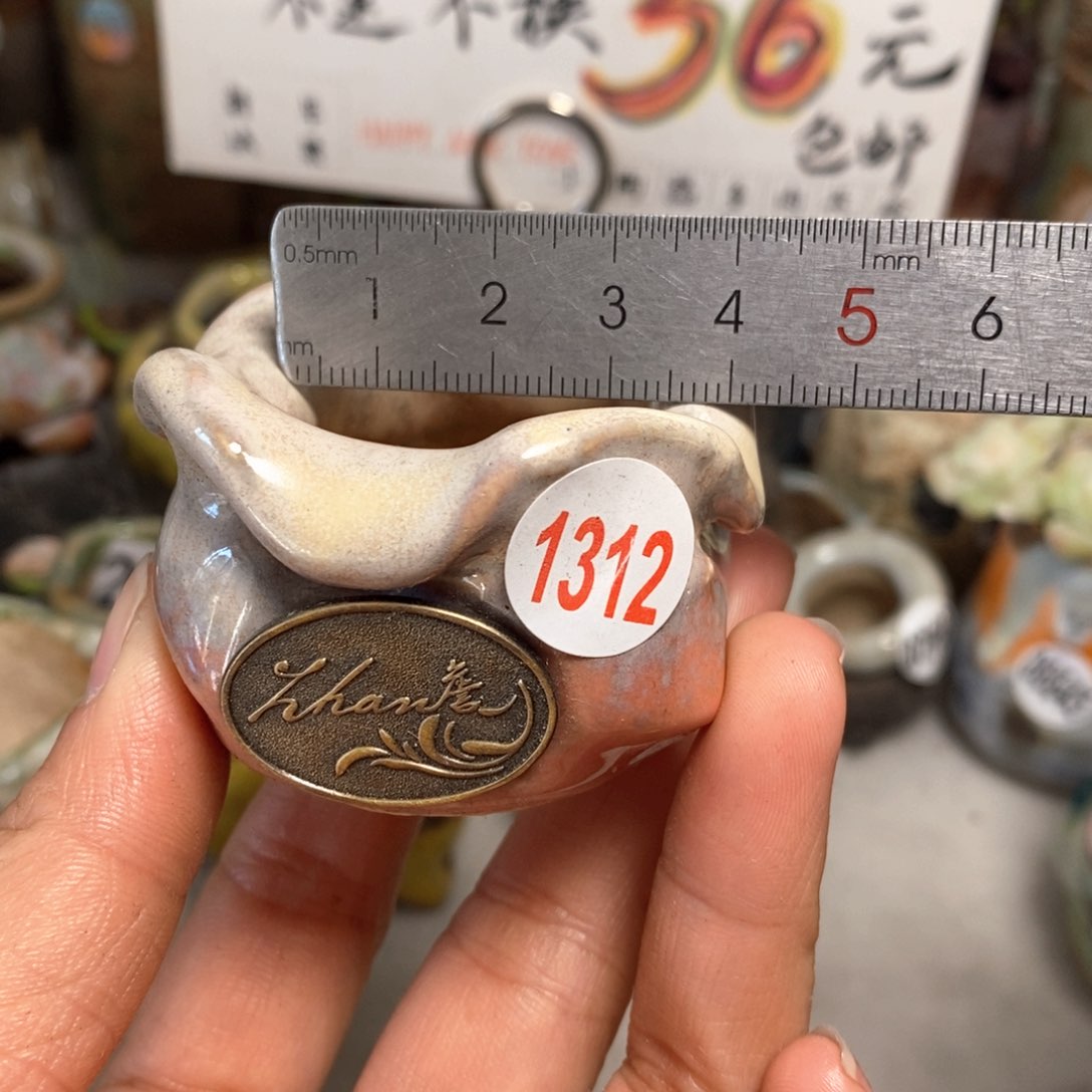 花盆拍5送一个小礼物