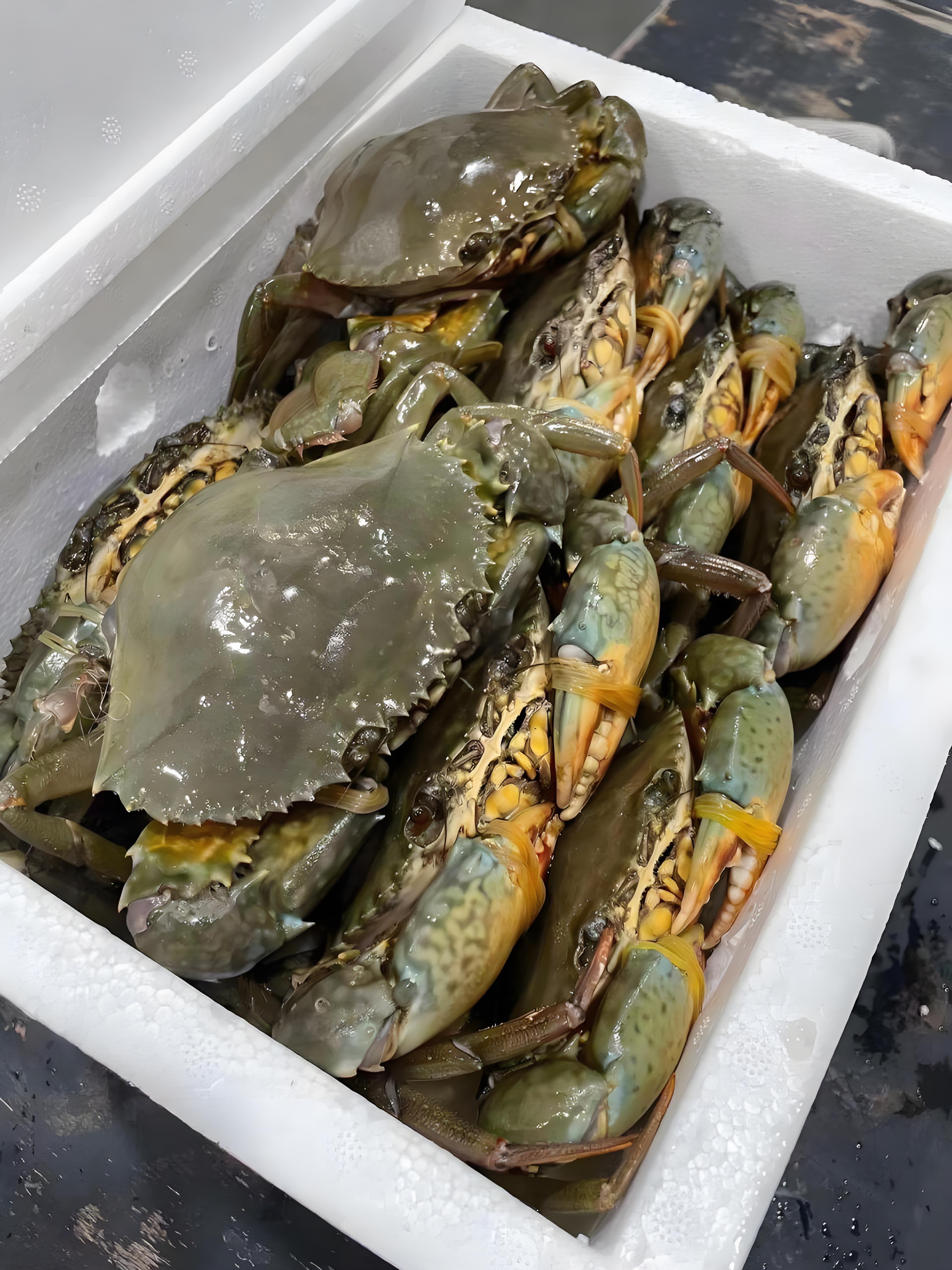 【店长推荐】青蟹鲜活红鲟超大螃蟹巨大款野生肉蟹俺仔蟹膏蟹母蟹