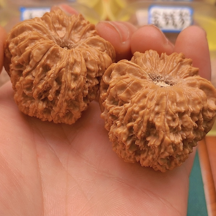 文玩核桃把件43全品大凹底137金蟾龟背