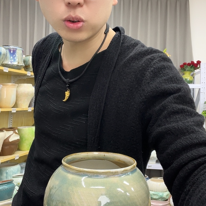 花盆里的花也太美太漂