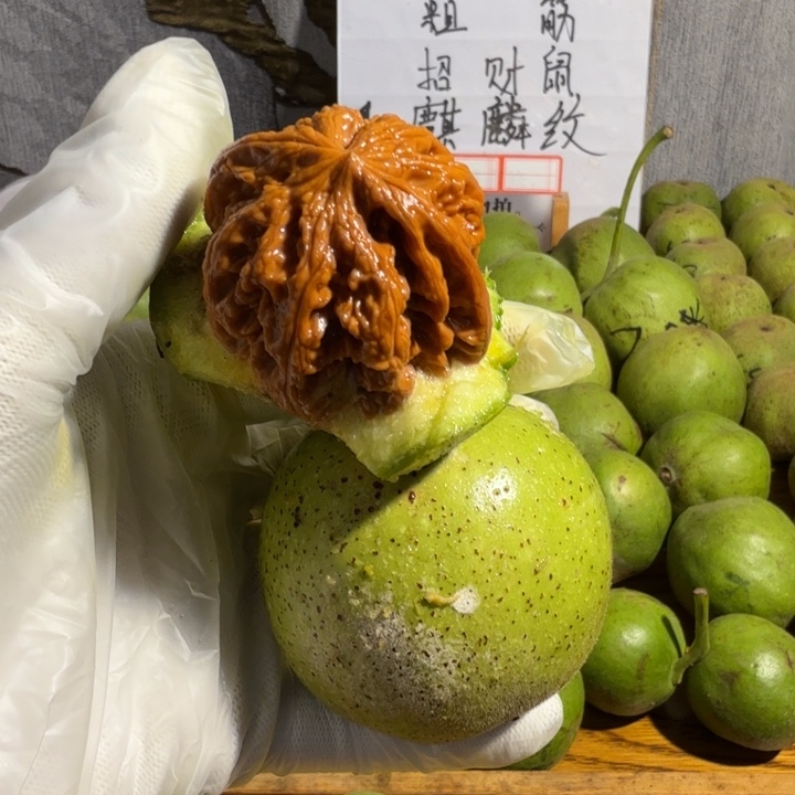 粗筋龙鼎蛤蟆头招财鼠链接