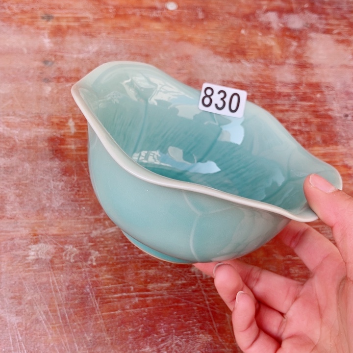 哈哈哈哈哈哈哈哈哈碗