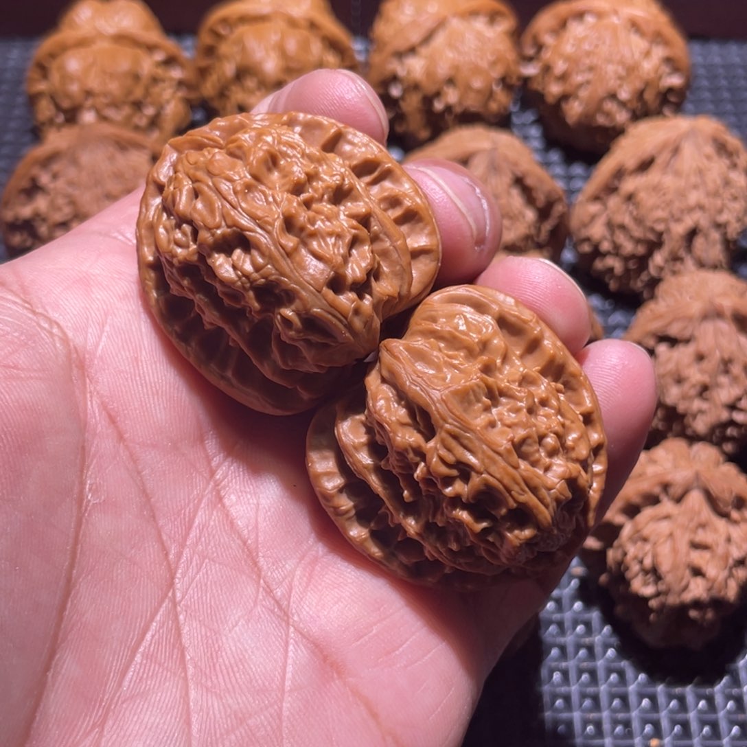 核桃39三角白狮子磕尖儿