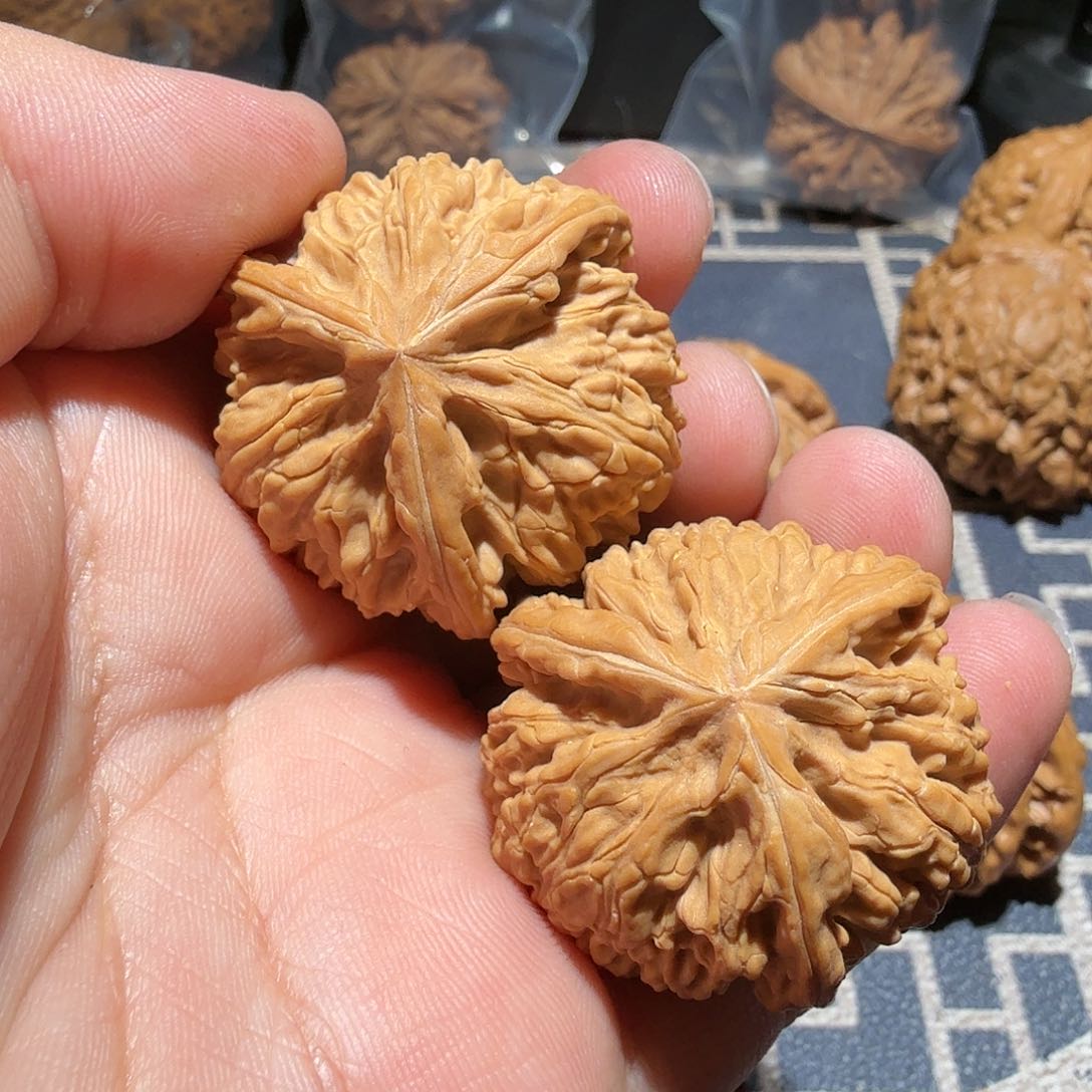 文玩核桃把件御龙