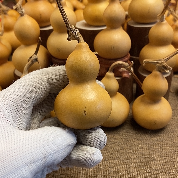 文玩葫芦 完美主义者 慎拍16