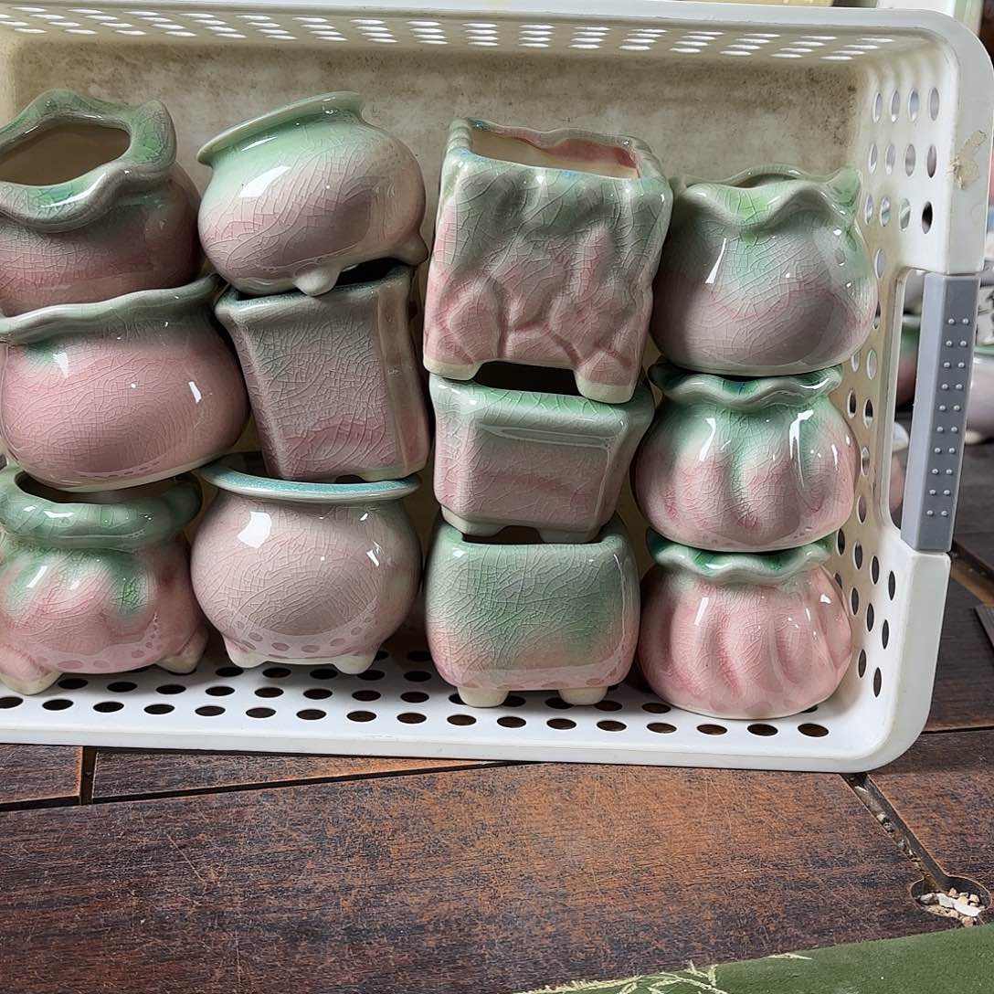 甜***力量货/口高深浅搭配发12