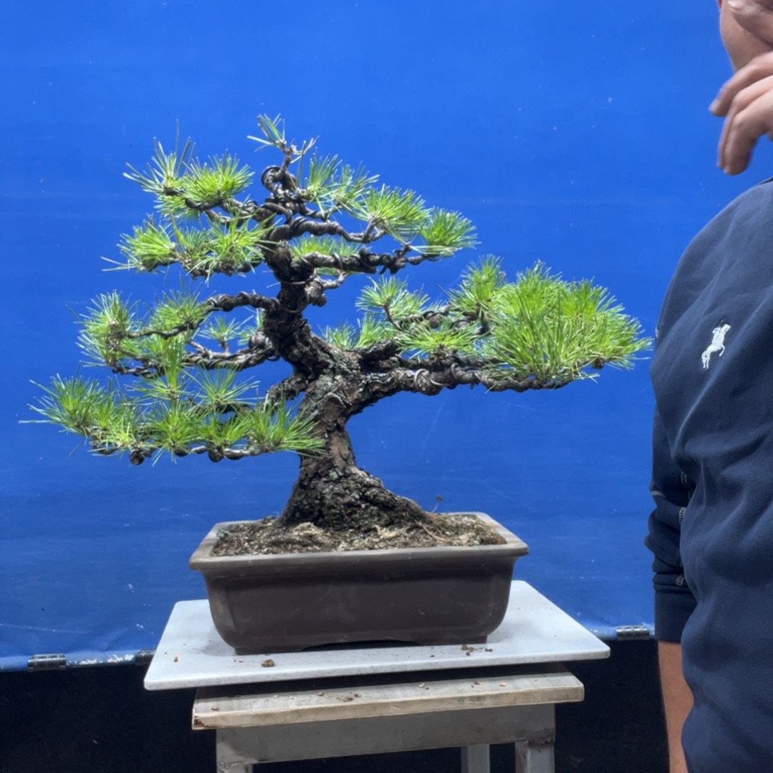 福***哥无花朵88888888888