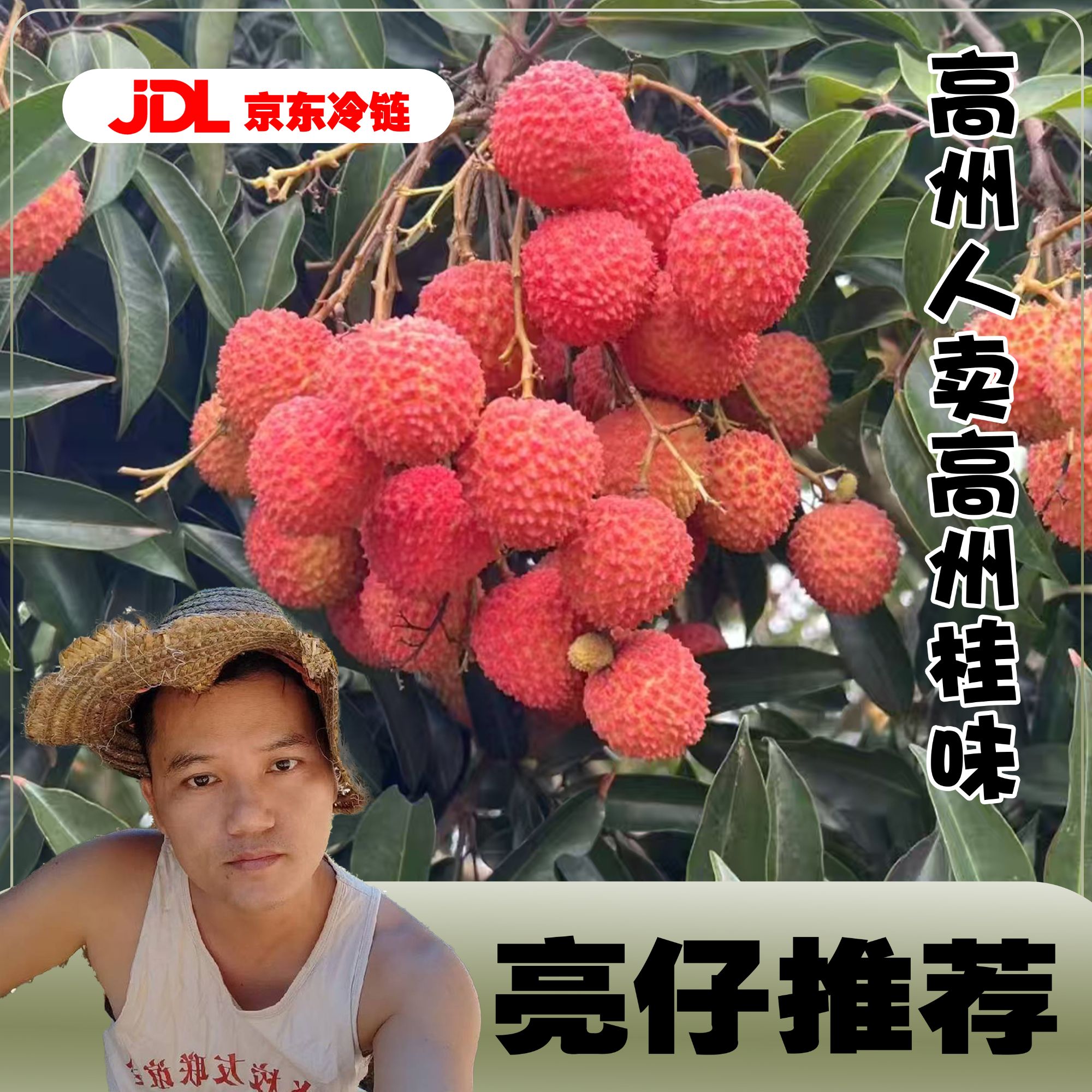预售省（内）10斤高州桂味肉厚多汁京东冷链包邮当季新鲜现摘荔枝