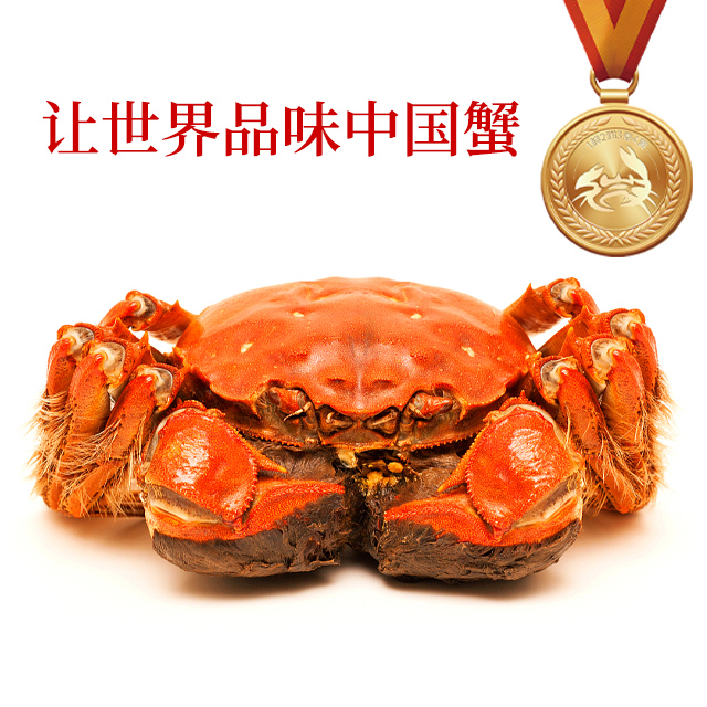  微山湖大闸蟹礼盒装母蟹（3.5两/2只装）公蟹（4.5两/2只装）共4只