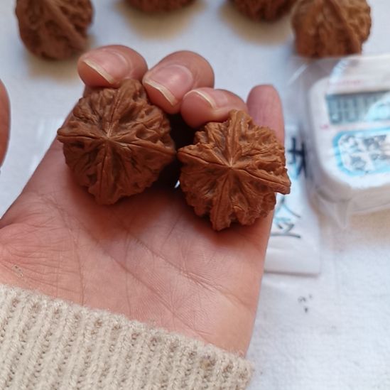 ****️四棱子全品无瑕疵的