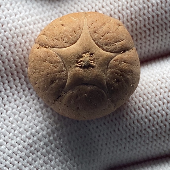 宁***o把件凤眼菩提五星20.9mm不打孔