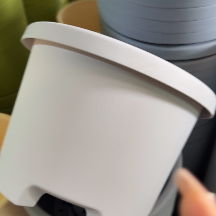 球根盆3号灰白无托6个