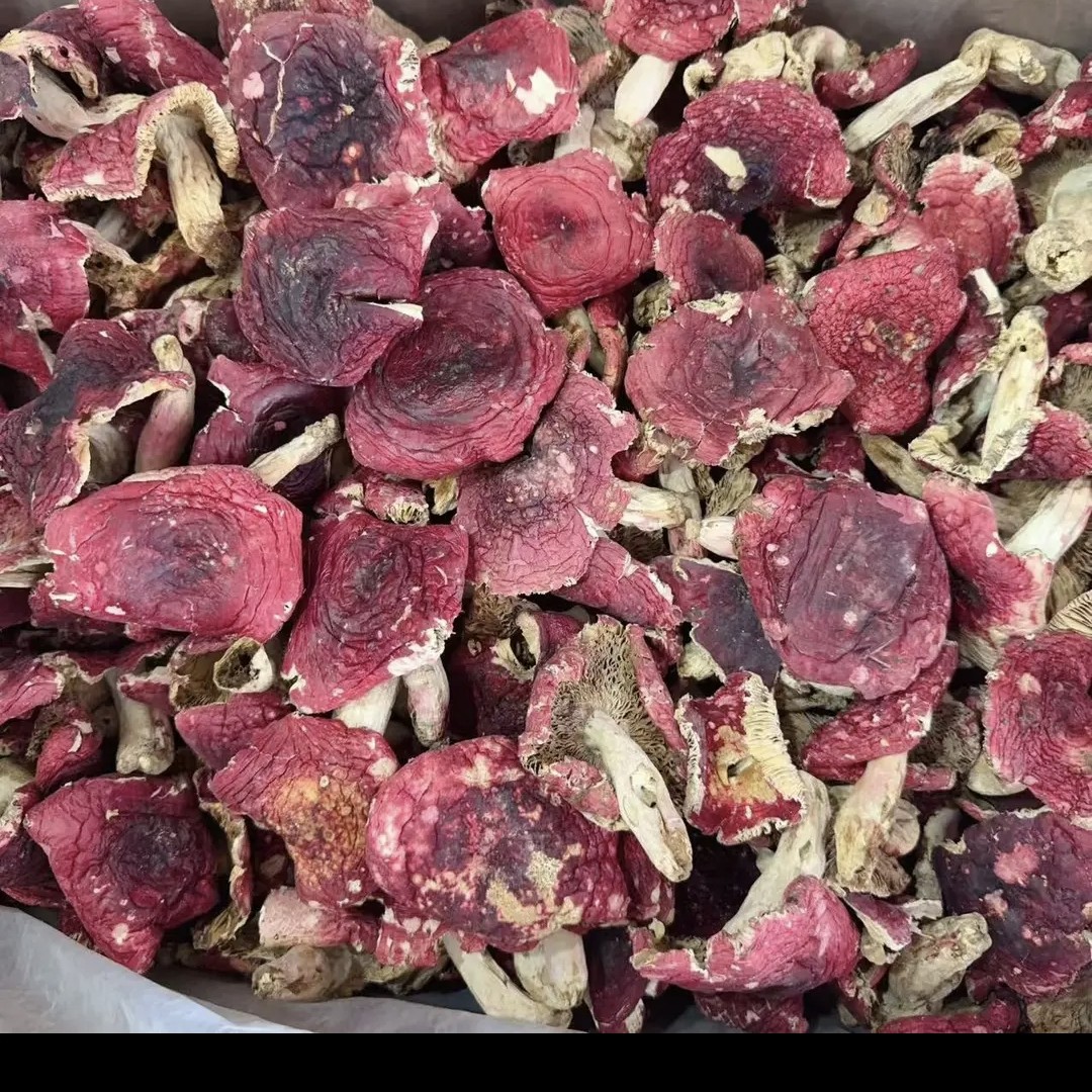 佳佳姐野生红菇精选云南开伞大面菇煲汤营养干货特产天然鲜美正宗