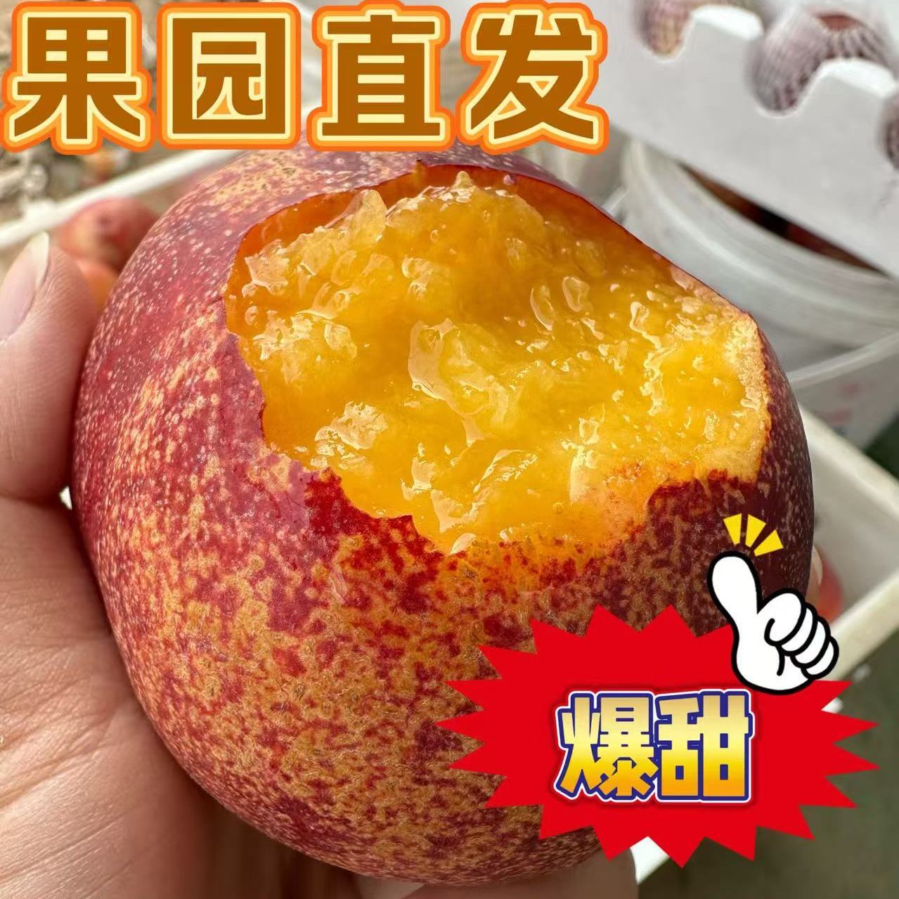 顺丰包邮砀山露天麻点大油桃