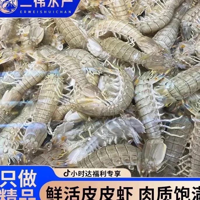 二界沟二虾爬子59.9三斤嫌小勿拍（保鲜不保活）