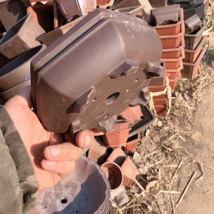 紫砂没有那么好过自己会