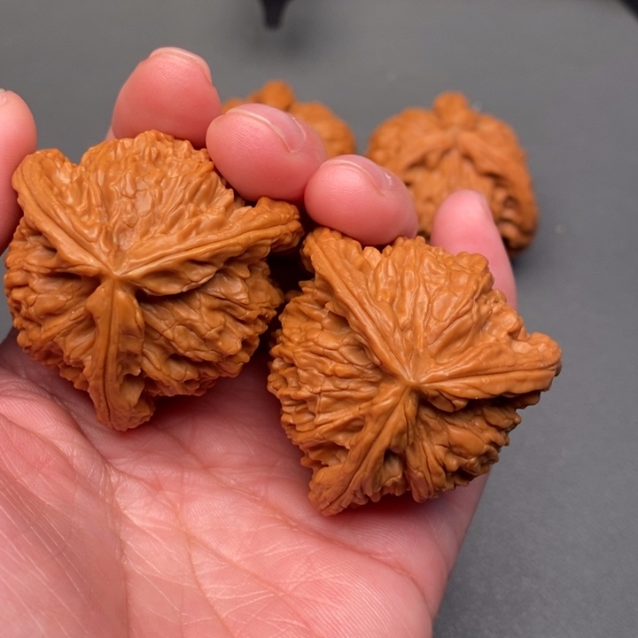 夜***苦木质类核桃核桃荷兰