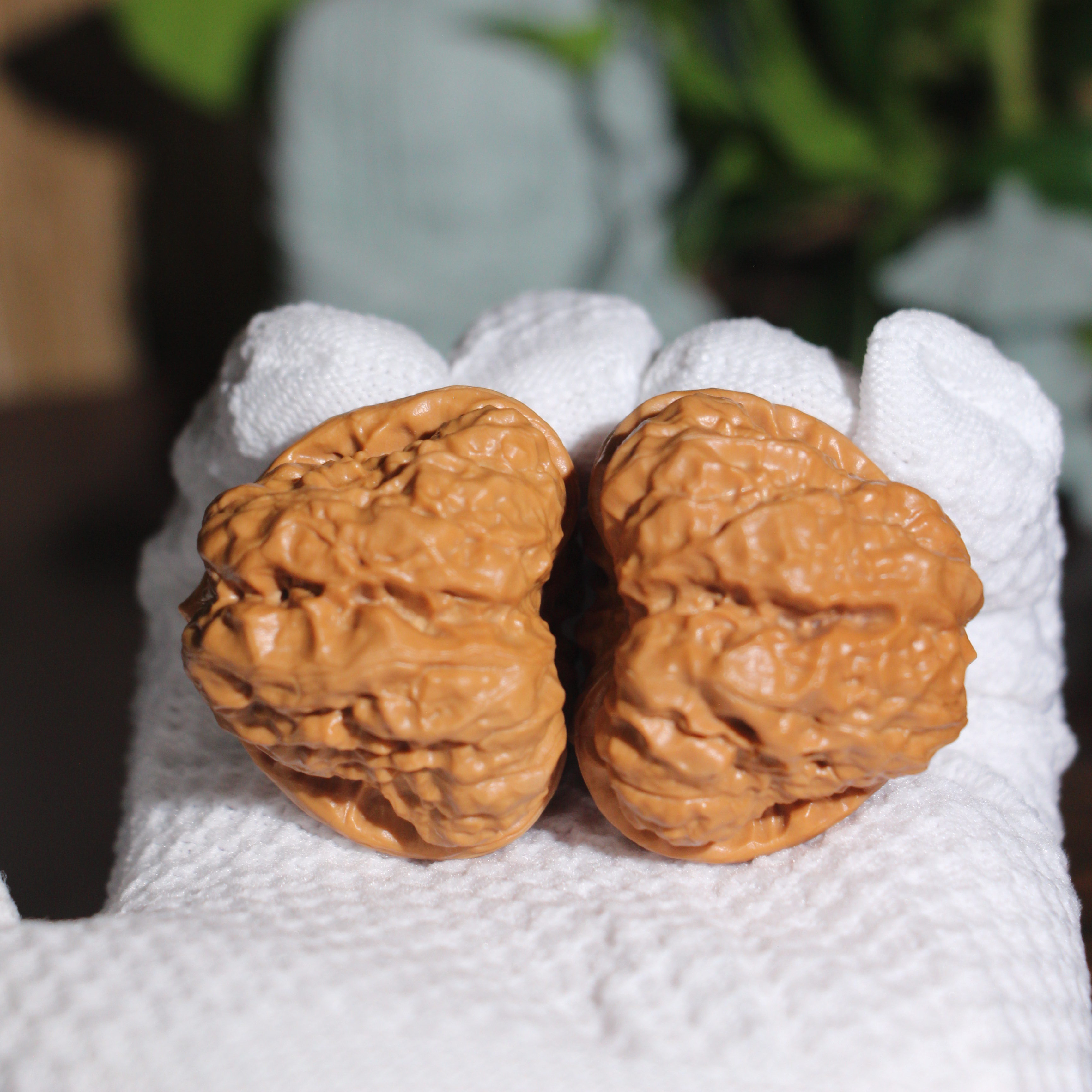 山地老树箭毒蛙37文玩核桃