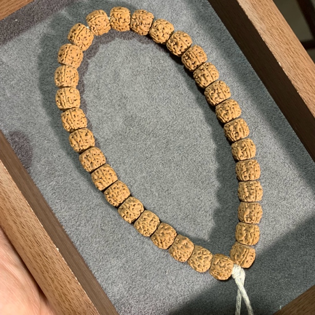 【纯血一代盘龙】华夏收藏级藏切小金刚手持