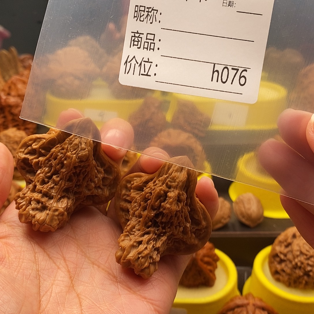 透***窗大叶紫檀（黑酸枝木类）大鸟