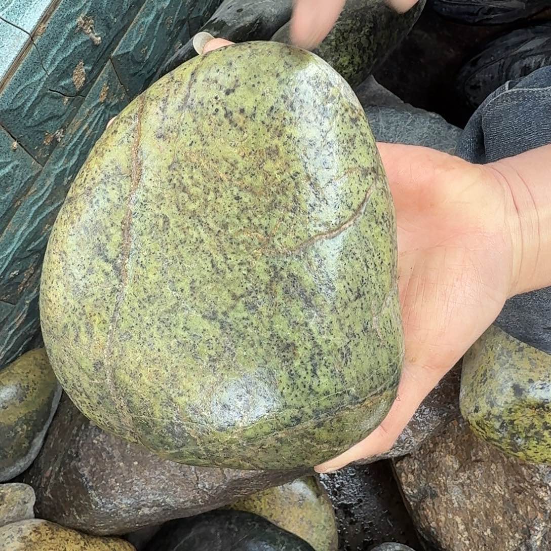 蛇纹石玉未镶嵌天然原石摆件藏玉西藏