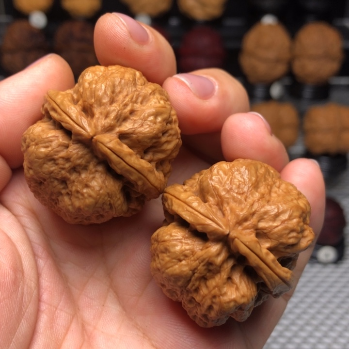 橄榄核吊坠28金蝉蛹