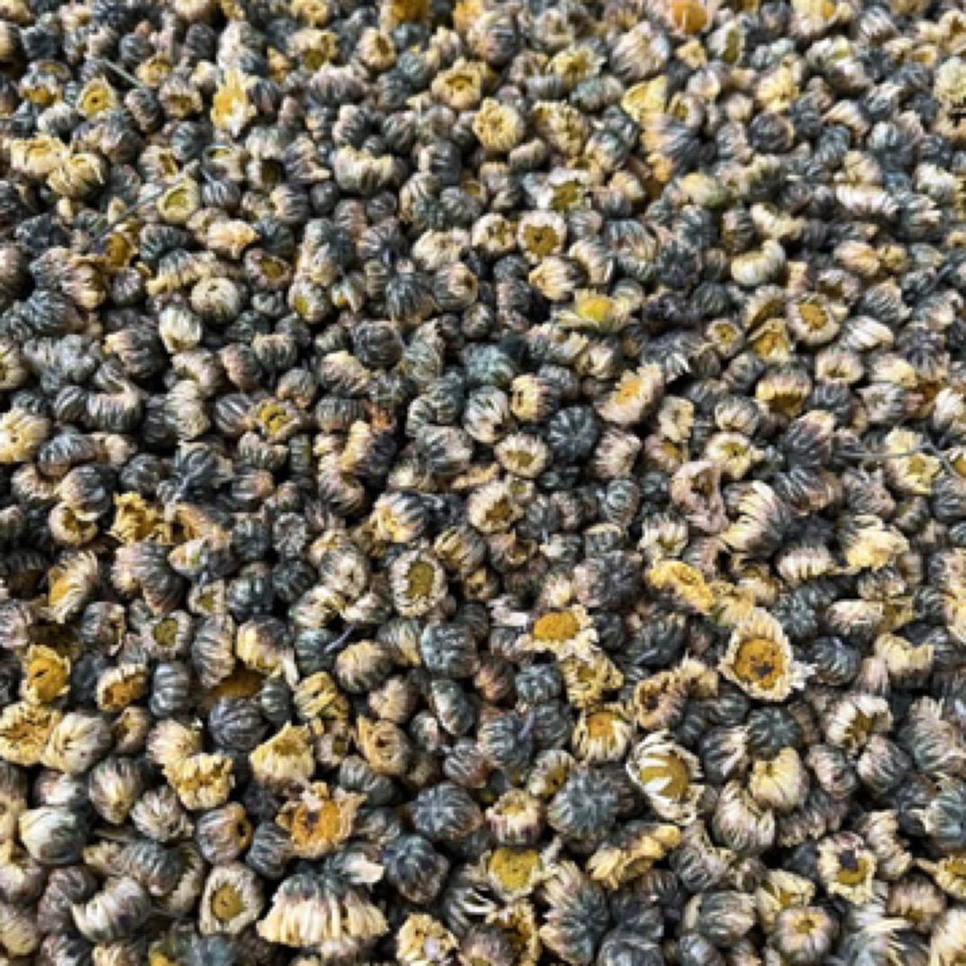 农家正宗无熏无硫菊花茶