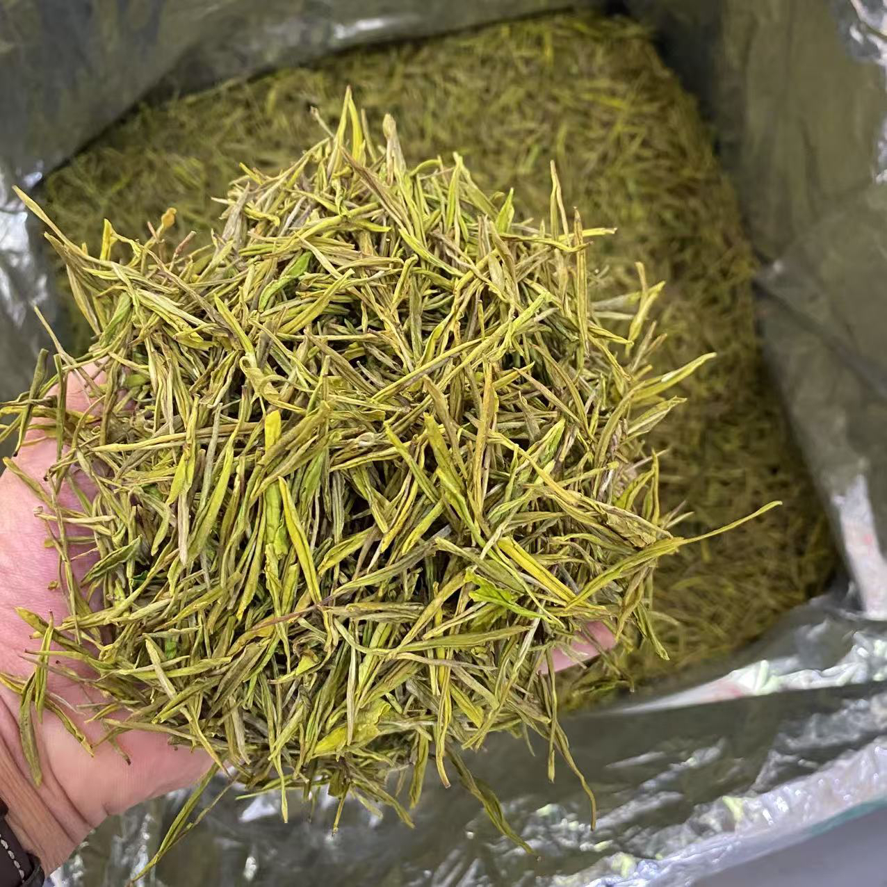 【2025年新茶】原产地安吉口粮茶黄金芽-浓香豆花香